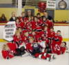 Provincial Champs Peewee A